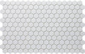 Hexa Neostone White Matte Glass Mosaic Tile