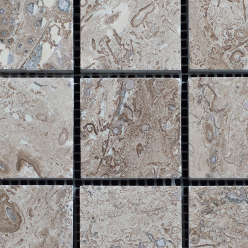 Lunarstone Noce Travertine 2x2 Honed and Filled Mosaic Tile