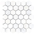Asian Statuary (Oriental White) Marble 2x2 Hexagon Honed Mosaic Tile.