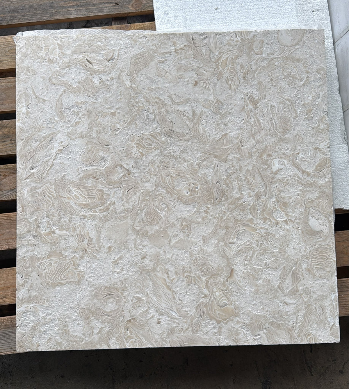 Eastern Shell Limestone 24x24 Brushed Tile