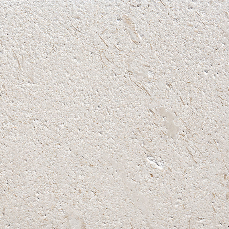 Shell Stone Brushed Limestone Tiles 24x24