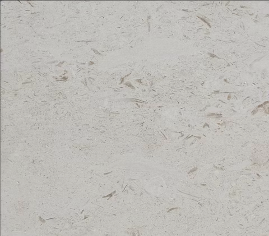 Shell Stone Myra Limestone 12x24 Honed Tile