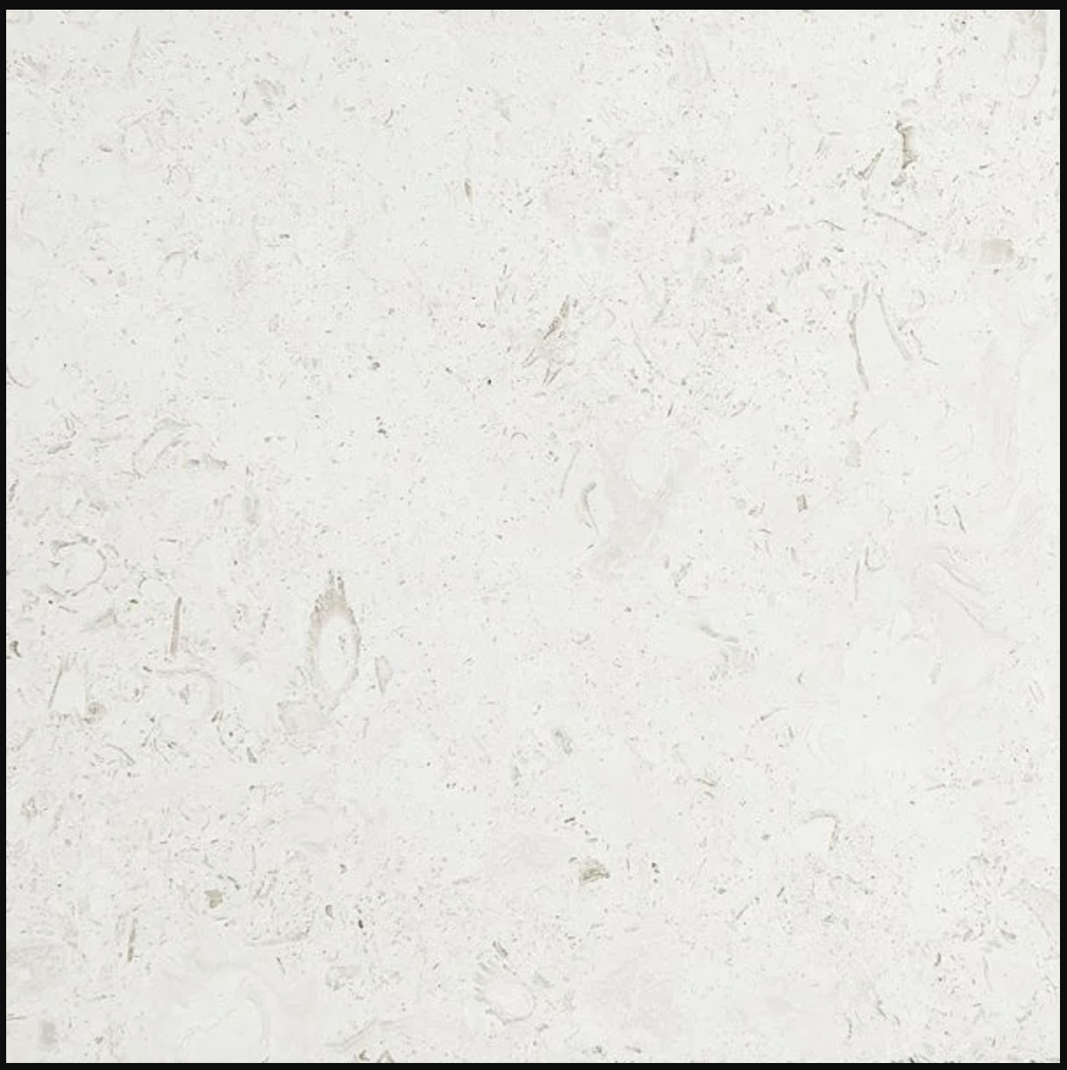 Mediterranean Seashell Brushed Limestone Tiles 24x24 - stoneandtiledepot.com