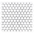 Thassos White Marble 1x1 Hexagon Polished Mosaic Tile.