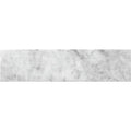 ARTISTIC ETCHED ALLIGATOR CARRARA Bianco Carrara Mosaic Tile.