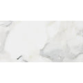 Calacatta Gold polished marble tile 12x24 with reflective finish showcasing elegant veining patterns.