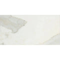 Calacatta Gold Marble 6x12 Honed Marble Tile.
