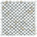 Calacatta Gold Marble Fan Shape (Raindrop) Polished Mosaic Tile.