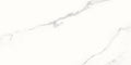 Calacatta White 12x24 Porcelain Tile.