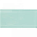 COLOR PALETTE ICE GLOSS glass 3x6 Mosaic Tile.