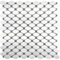 Dc Metro Crystal City Eastern White / Bardiglio Nuvolato Mosaic Tile.
