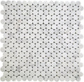 Dc Metro Logan Circle Bianco Carrara Mosaic Tile.