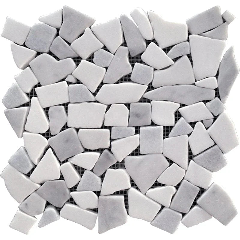 Dc Metro Rock Creek Thassos / Bianco Carrara Mosaic Tile.