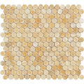 Honey Onyx Penny Round Polished Mosaic Tile.