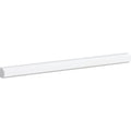 Mont Blanc White Marble 1x12 Polished Pencil Liner.