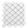 MYKONOS FTELIA Thassos Polished Mosaic Tile.