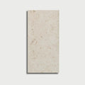 Shell Stone Myra Limestone 12x24 Honed Tile