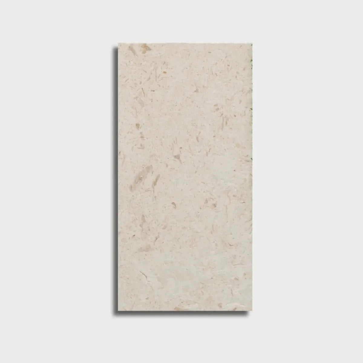 Shell Stone Myra Limestone 12x24 Honed Tile