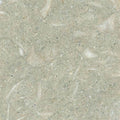 Seagrass Limestone 6x6 Honed Tile.