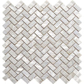 SHELL CORONADO BEACH shell Mosaic Tile.