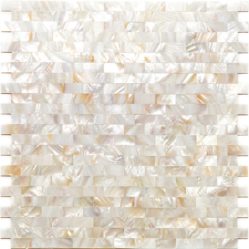 SHELL DAYTONA BEACH shell Mosaic Tile.