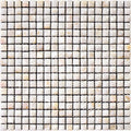 SHELL POMPANO shell Mosaic Tile.