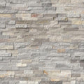 Silver Sunset 6x24 Stacked Stone Ledger Panel.