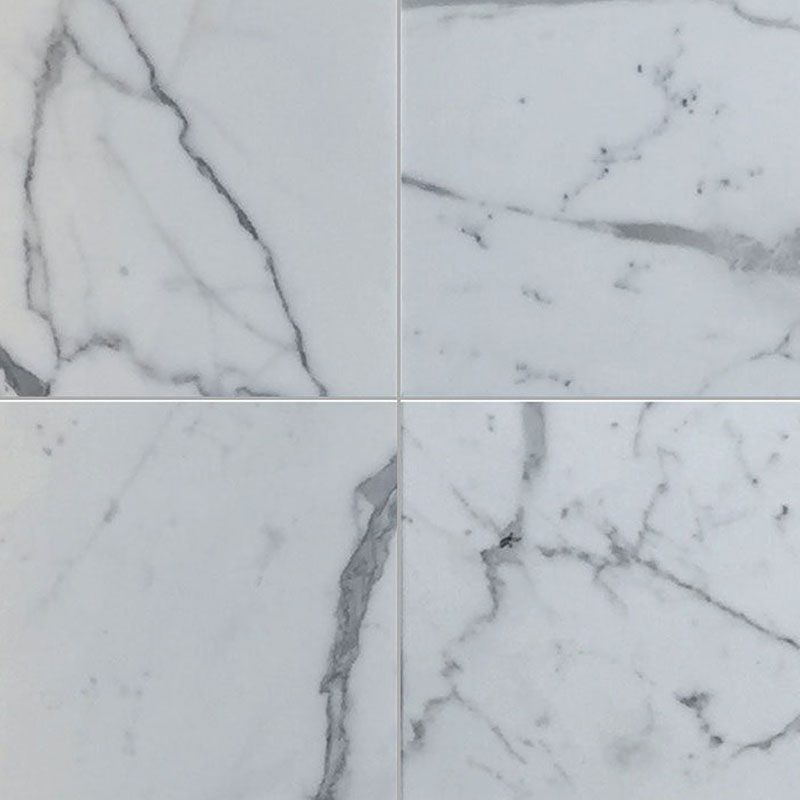 Statuario Marble 18x18 Honed Tile.