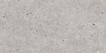 Stone Basel Gris 24x48 R Porcelain Tile.