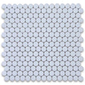 Thassos White Marble Penny Round Honed Mosaic Tile.