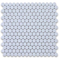 Thassos White Marble Penny Round Polished Mosaic Tile.