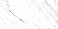 Venato 24x48 R Po Porcelain Tile.