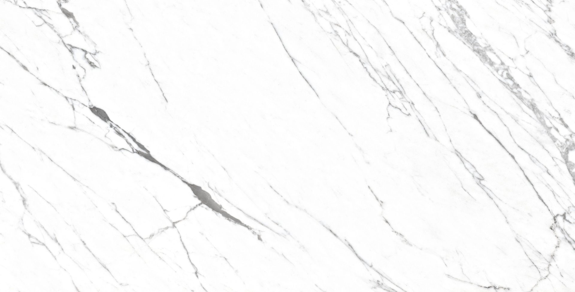 Venato 24x48 R Po Porcelain Tile.